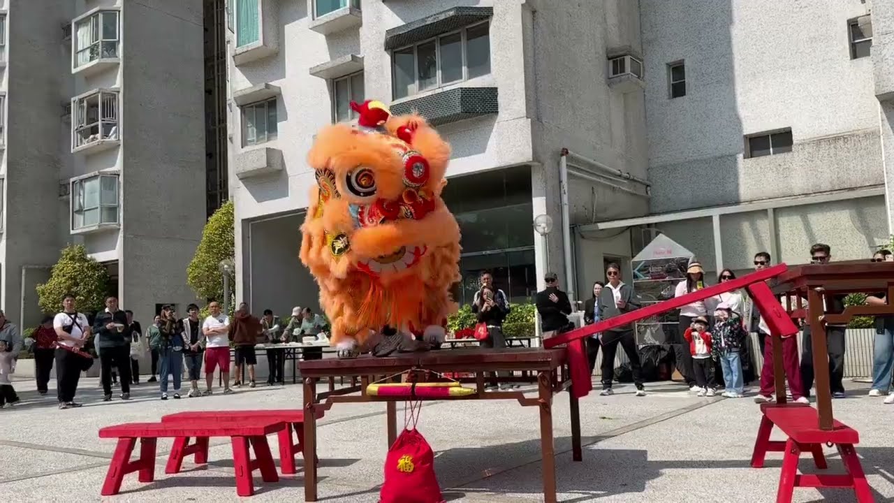 2026/ 02/ 18 丙午馬年 大年初二 碧濤花園三期 嚴浩宏洪拳國術會醒獅開年表演