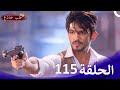 حب خادع الحلقة     115