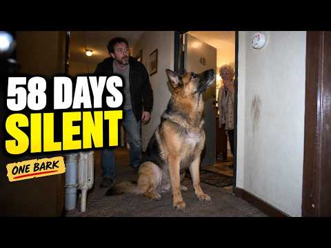 Our Rescue Shepherd Was Silent for 58 Days — Then He Barked at Something Nobody Could Hear
