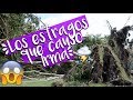 SOBREVIVIENDO AL HURACÁN IRMA!! | Nathaly Chalarca