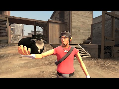 Видео: [SFM] Замуррчательная ловушка