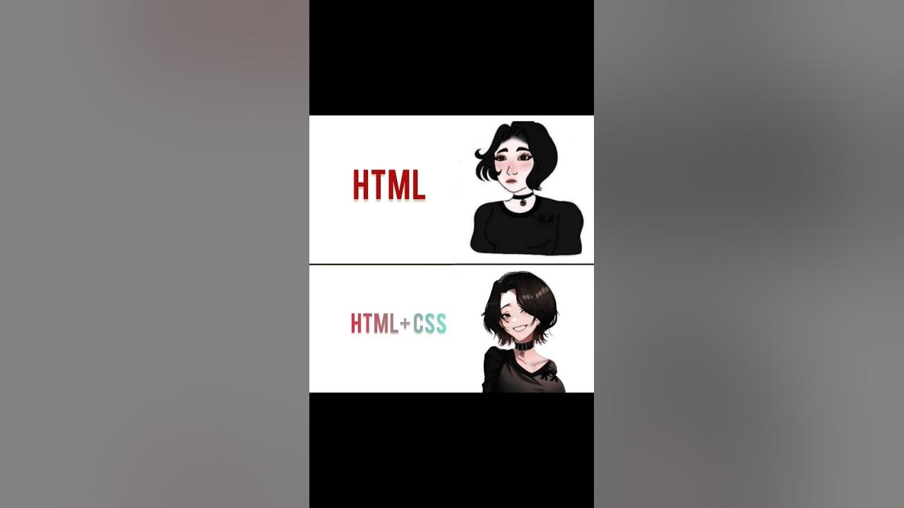 Funny html & css meme #codememes - YouTube