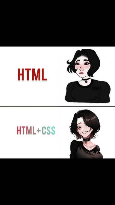 Funny html & css meme #codememes - YouTube