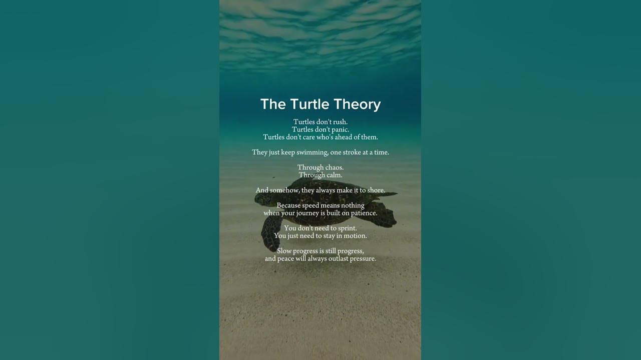 The Turtle Theory: Why Slow Progress Leads to Deep Healing | Reset & Restore