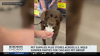 CBS Pet Supplies Plus stores hold summer parties for Chicago pet group