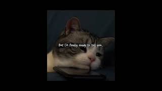I’m so sorry guys #remix #lyrics