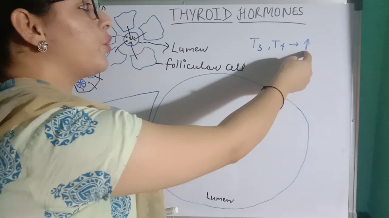 THYROID  HORMONES | PART-1