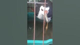 anh em nao thich lh 0944652913