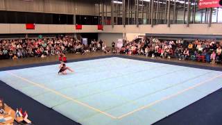 NK A 2015 Blk14   04   Pn2   007   WG   Sen   Com