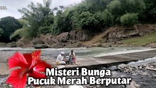 Mengungkap Misteri ‼️Angker Nya Tukad Yeh Ho Judul Bunga Pucuk Merah - IQ8 CHANNEL