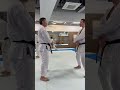 Karate Training, SKIF