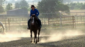 Cee Pepto - 5/25/12 sorting practice - warm up - lead changes - Valley View Ranch