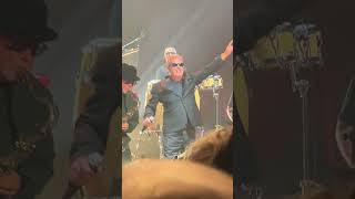 Madness “One Step Beyond” at Hammerstein Ballroom on 30th May 2024 (Live)