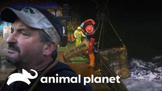 Sucesso arrasador do Cornelia Marie no início da temporada | Pesca Mortal | Animal Planet Brasil