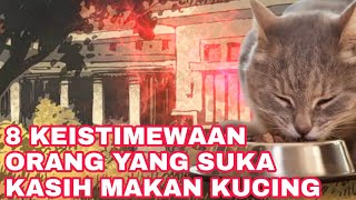 KEAJAIBAN SERING MEMBERI MAKAN KUCING!!!_8 KEISTIMEWAAN ORANG YANG SUKA MEMBERI MAKAN KUCING