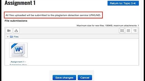 How to Upload your Assignment on LMS