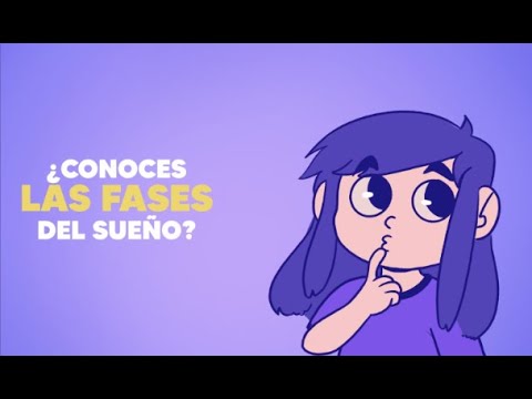 Fases del sueño.