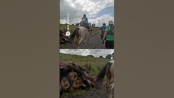 Exhausted but determined to finish the journey | Man vs Horse 2025