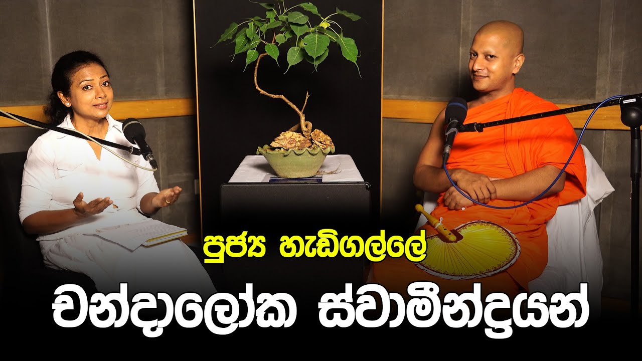 පන්සිල් මළුව | Pansil Maluwa | පූජ්‍ය හැඩිගල්ලේ චන්දාලෝක හිමි #pansilmaluwa #dharmadeshana #love