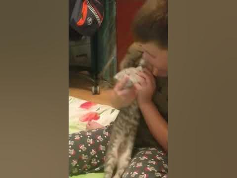 неко найкраший кіт 🐈🐈🐈🐾🐾 - YouTube