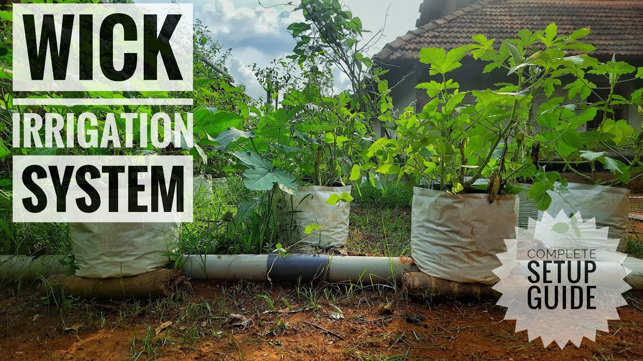 WICK IRRIGATION SYSTEM, COMPLETE SETUP GUIDE, SUBSIDY, MODERN FARMING, SELF WATERING