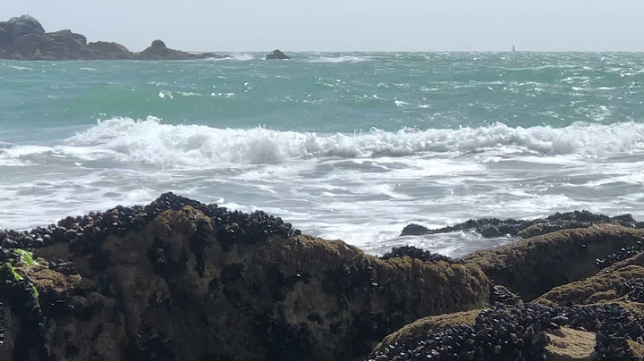 GROSSE HOULE D’OUEST ET VAGUES MOYENNES #bretagne #morbihan