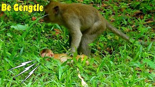 Oh God Monkey Alberto P-Ulled Baby Elpida So Hard On The Green Grass. What Wrong With You?