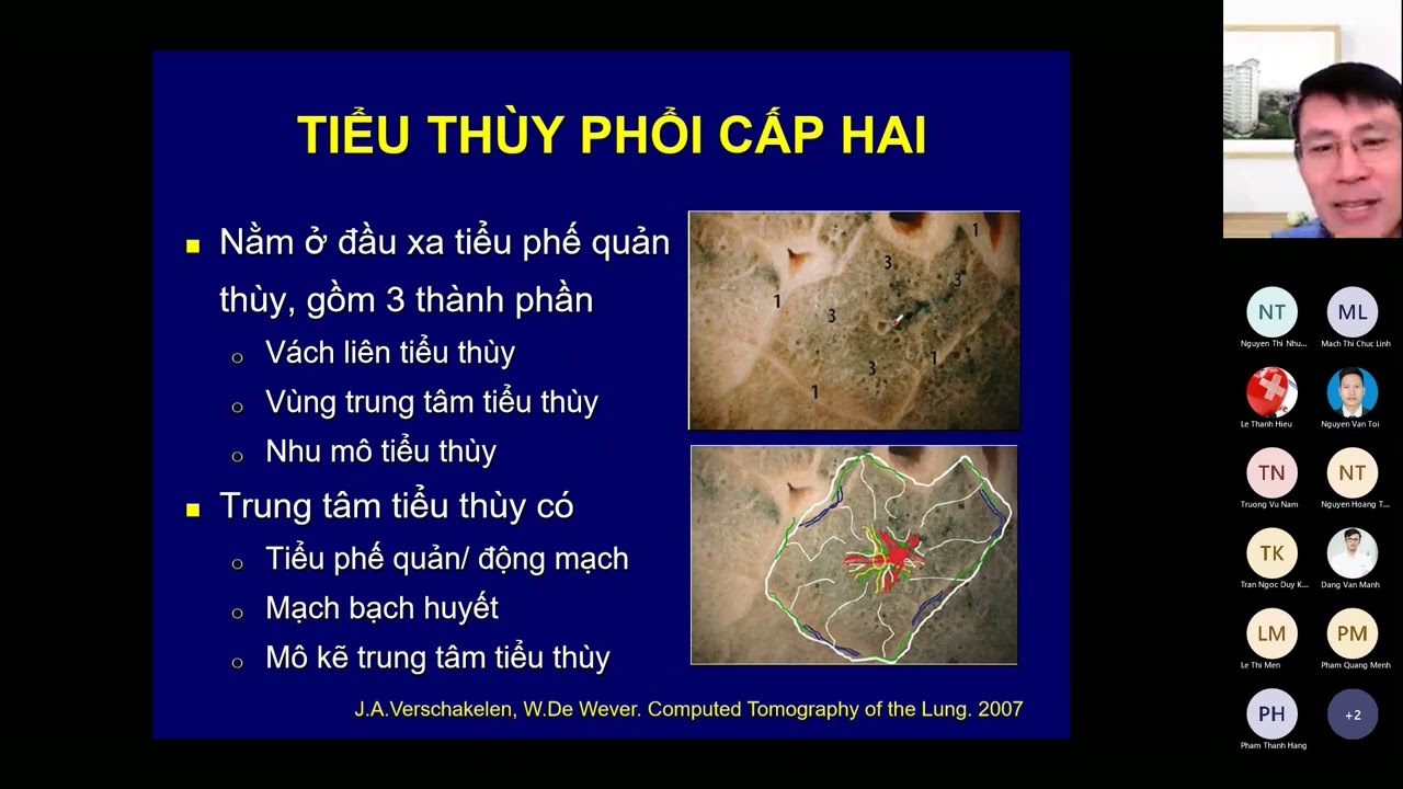CT-scan ngực phần 1
