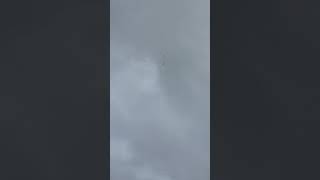 Apogee Zephyr on a G80W-7 motor. Jolly Logic Chute Release set to 200 feet because of the wind!