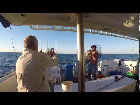 Liveaboard fishing charters western  Audtralia