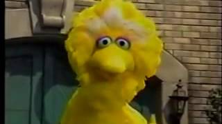Sesame Street Part Of The 3294 New Hd