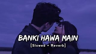 Banki Hawa main (Slowed   Reverb) Altmash Faridi | Rooh E Daari | Lofi song | Toori Lofi