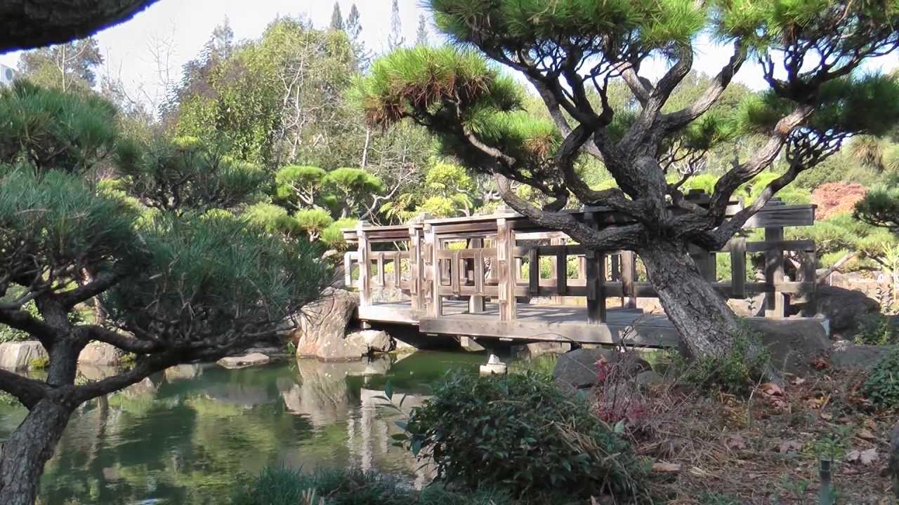 Japanese Gardens In Hayward Ca Youtube