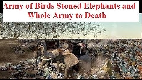 Surah al feel (The Elephant) with animation & urdu translation سورة الفيل اردو ترجمہ کے ساتھ