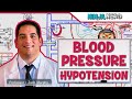 Blood Pressure Regulation | Hypotension | Part 1