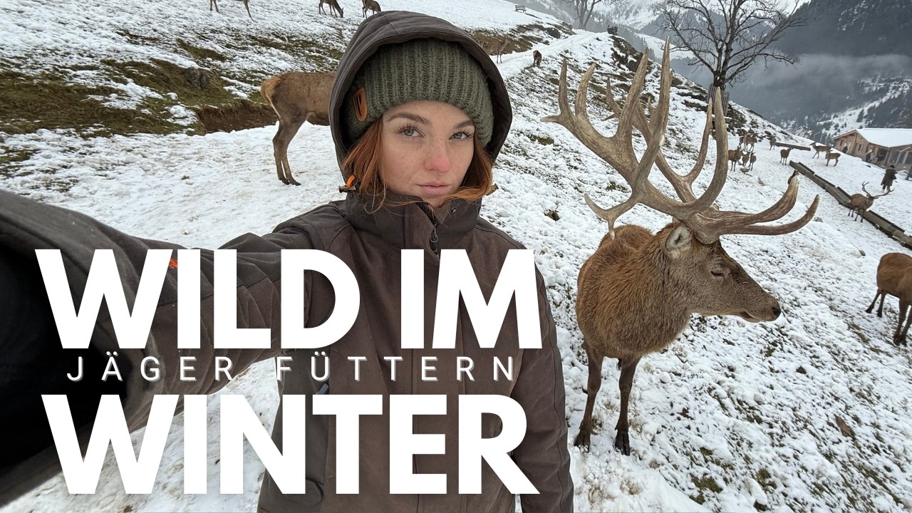 Jäger füttern Wild im Winter? | Hege in Bayerns Voralpen & deren Kosten