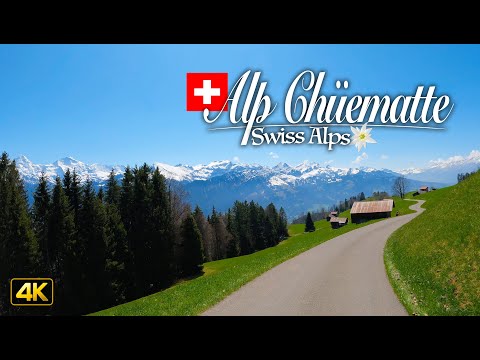 Stunning Swiss Alps🇨🇭 Driving from Wilderswil to Alp Chüematte