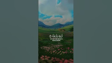 تلاوة سورة الإخلاص بصوت عبد الرحمن مسعود #تلاوات#عبدالرحمن_مسعد #سورہ #القرآن_الكريم #اخلاص