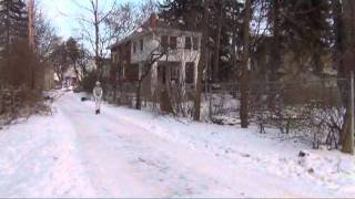 Litterbug Music Video