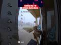 Ranking Top 7 AI Animals during Storm #animals #ai #funny #trending