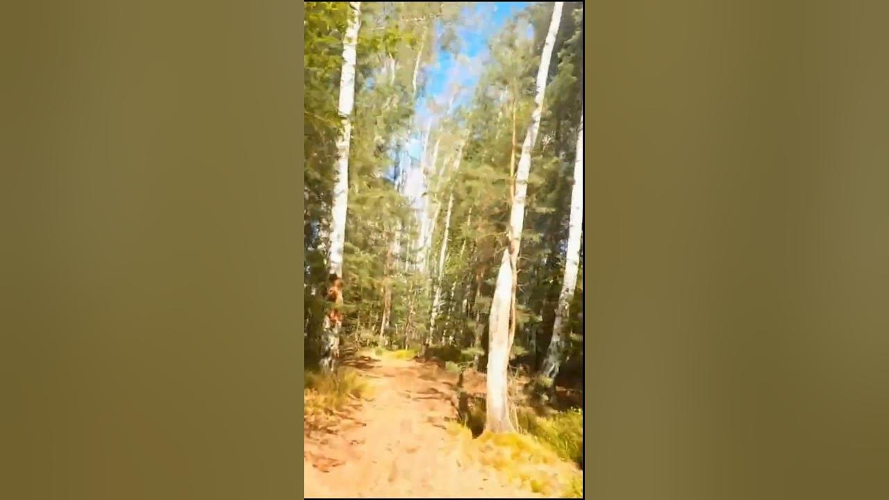 КРАСОТА - YouTube