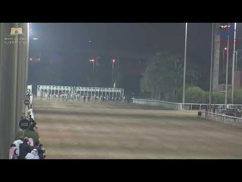 وارد المرسلة لاسطبل شافي العجمي شوط 1000متر بيت العرب