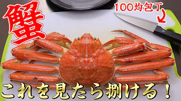 ズワイガニ頭食べ方 ズワイガニ頭食べ方