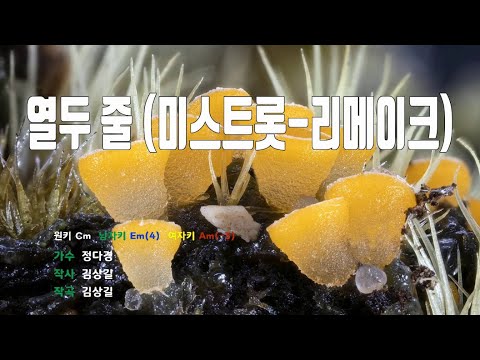 [은성 반주기] 열두줄(미스트롯-리메이크) - 정다경