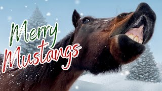 Merry Mustangs wishing you a very merry christmas! 🎄🐴 by The Project Equestrian 986 views 4 months ago 1 minute, 4 seconds