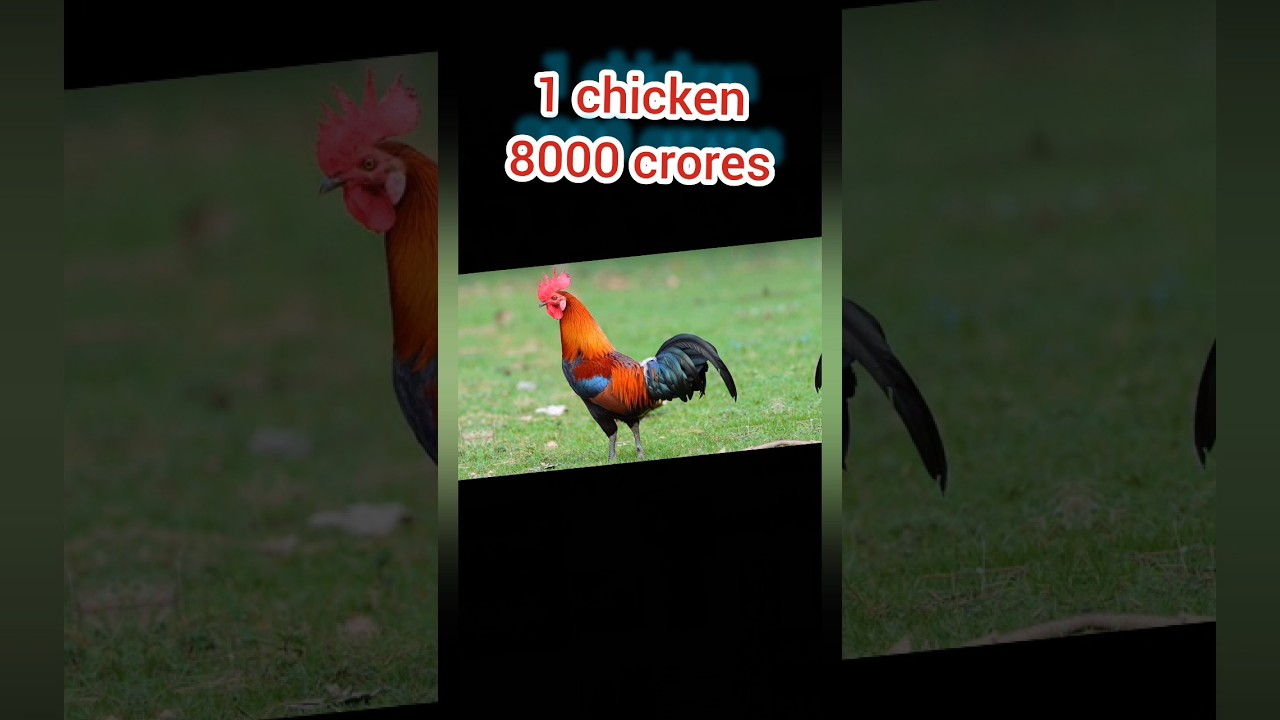 Top 15 most eaten animals by humans in the world every year YouTube