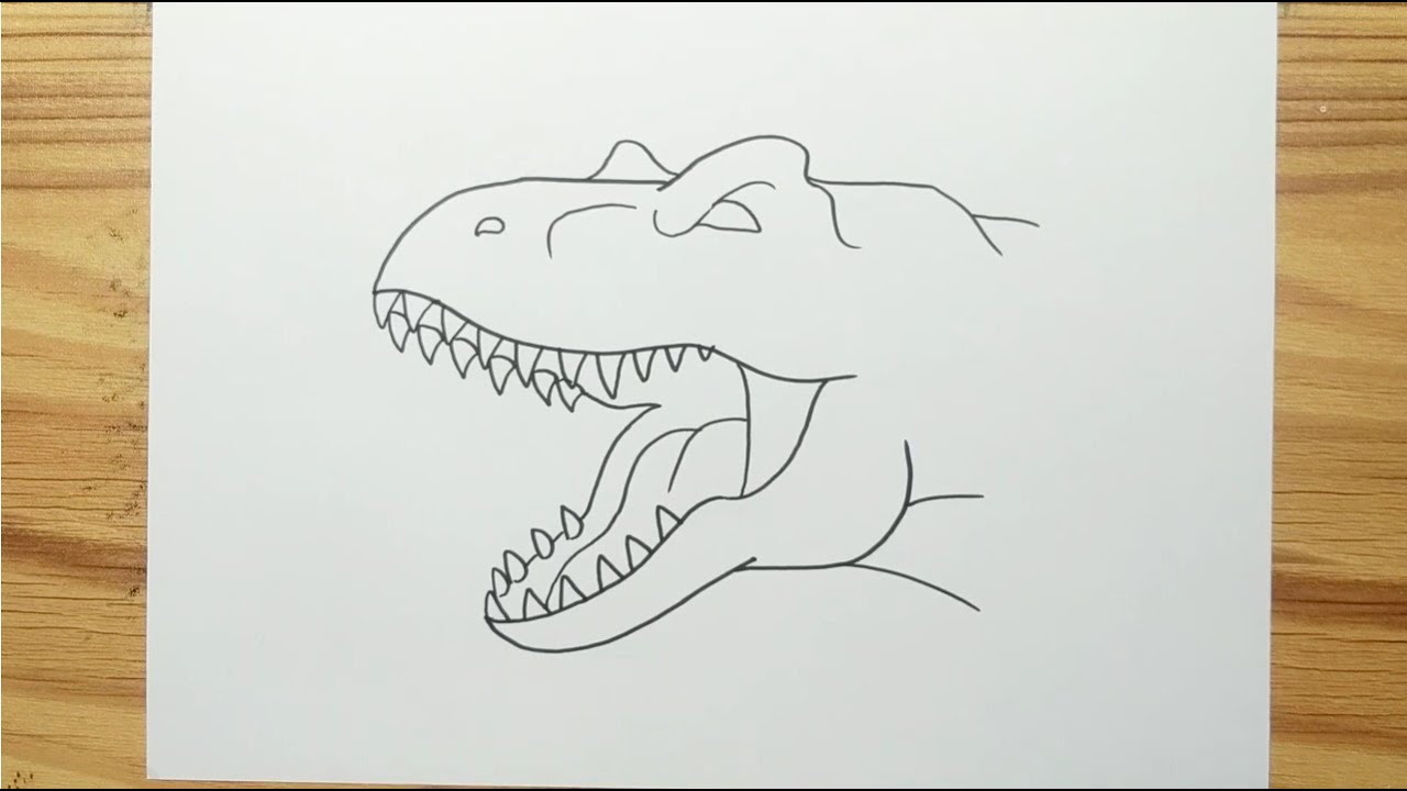 Top more than 179 t rex head sketch best