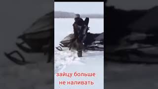 Зайцу больше не наливать #юмор