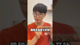 做好这些事,才能放心迎接小猫到家呀  #新手养猫 #科学养猫 #新猫到家 #小奶猫 #养宠进阶指南