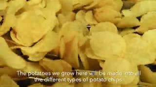 How PepsiCo Sources Only Sustainably-Farmed Potatoes In North America How PepsiCo Sources Only Sustainably-Farmed Potatoes In North America